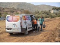 Yangın bölgesindeki hayvanlar için mama ve su bırakıldı