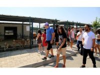 Sokak Hayvanları Bakımevi’nden geri dönüşüme katkı