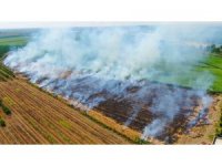 Adana’da anız yangınları kenti dumana boğuyor