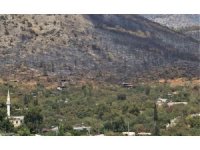 Mersin’deki orman yangını, küle dönen bölge havadan görüntülendi