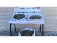 Sazlık alana gizlenen çuvaldan uyuşturucu çıktı
