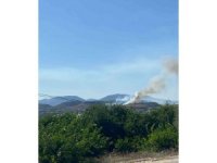 Mersin’de orman yangınına müdahale ediliyor