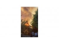 Antalya’da plaja yakın bölgede çıkan yangın korkuttu