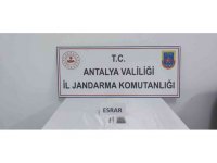 Uyuşturucu sakız kutusundan çıktı