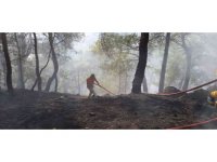 Antalya’da çıkan orman yangını kontrol altına alındı