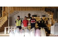 Demre’de 7 çuval keçiboynuzu çalan şüpheliler yakalandı