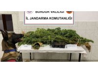 Burdur’da uyuşturucu operasyonlarında 1 tutuklama