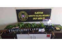 Elbistan’da saksıda kenevir yetiştirilen eve operasyon