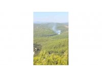 Alanya’da orman yangınında 2 dönüm alan zarar gördü