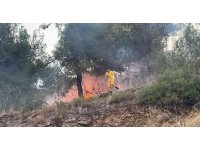 Hatay’da ormanlık alanda çıkan yangın evlere sıçramadan söndürüldü