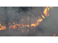 Alanya’da ikinci orman yangını büyümeden söndürüldü