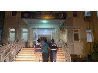 Antalya’da telefon faresi jandarmadan kaçamadı