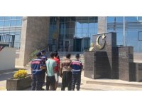 Bahçeden avokado çalarken yakalanan 2 şüpheli tutuklandı