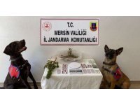 Mersin’de uyuşturucu operasyonu: 1 tutuklama