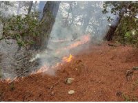 Amanos Dağları’na düşen yıldırım orman yangınına neden oldu