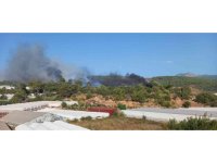 Kumluca’da orman yangını çıktı