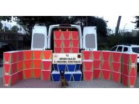 Mersin’de 630 bin adet kaçak makaron ele geçirildi