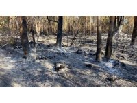 Kaş’taki orman yangını kontrol altına alındı