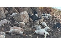 Ağıla yıldırım düştü, 38 küçükbaş hayvan telef oldu