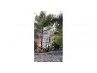 Adana’da çifte orman yangını