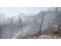 Otluk alanda çıkan yangın portakal ağaçları ve arı kovanlarını yaktı