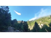 Feke’de orman yangını kontrol altına alındı