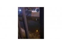 Adana’da 3 yaşındaki kız çocuğu sulama kanalında boğuldu