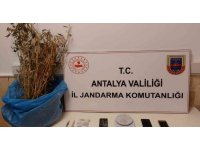 Kaş’ta 350 gram kubar esrar ele geçirildi