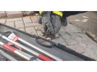 Kurtarıldıktan sonra ikinci kez motor kısmına giren kediyi itfaiye eri kurtardı