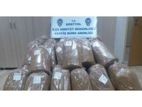 Hatay’da 435 kilo kaçak tütün ele geçirildi
