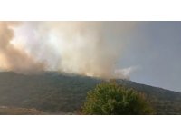 Kaş’ta orman yangınına havadan ve karadan müdahale sürüyor
