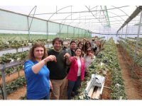 Çiftçi ve üreticiye eğitim desteği