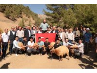 Şampiyon pehlivanlar omuzlarla taşındı, koçlar kesildi