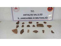 Jandarmadan kaçak kazı operasyonu: 2 gözaltı