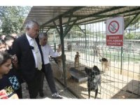 Karalar: "Kısırlaştırmayı daha da artıracağız"