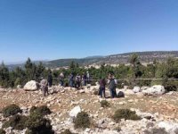 Tarsus’ta defne üretim tatbikatı yapıldı