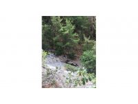 Uçuruma yuvarlanan araçtan atlayarak kurtuldu, eşi hayatını kaybetti