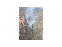 Adana’daki orman yangınına müdahale sürüyor