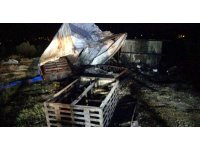 90 Adana güvercini dakikalar içinde telef oldu