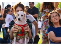 Mersin’de PatiFest’e hazırlanılıyor