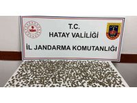Hatay’da 960 adet sikke ele geçirildi
