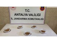 Antalya’da 5 bin 700 adet uyuşturucu hap ele geçirildi