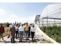 Gültak, hortumdan etkilenen bölgelerde incelemelerde bulundu