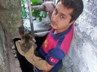 Su kuyusuna düşen kediyi itfaiye kurtardı