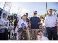 Mersin Pati Festivali renkli görüntülere sahne oldu