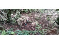 Amanoslar’da PKK’ya ait 2 depoda çok sayıda gıda maddesi ele geçirildi