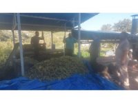 Hatay’da üzümler "çalpak pekmezi"ne dönüştürüldü