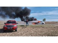 Yanan aracı orman ekibi söndürdü