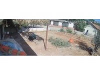 Sokak ortasında öldürülen yaşlı kadının ölmeden önce son görüntüleri ortaya çıktı