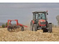 Tarlada kalan mısır sapları elektrik enerjisine dönüşüyor